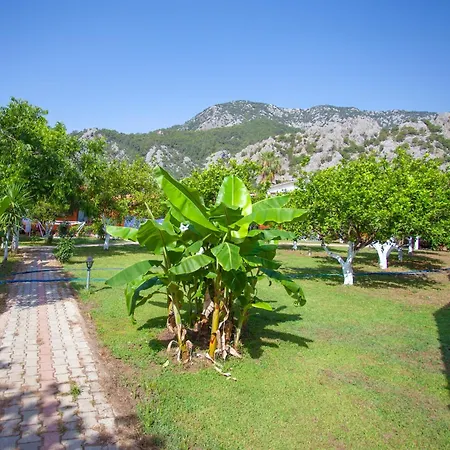 Baris & 2* Çıralı