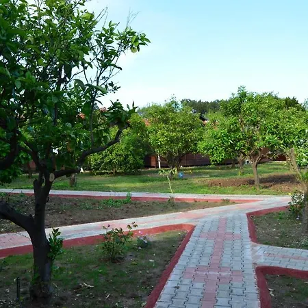Baris & Kompleks wypoczynkowy Çıralı