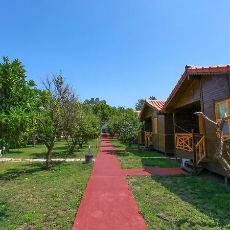 Kompleks wypoczynkowy Baris & 2*