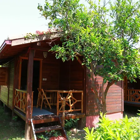 Baris & Çıralı